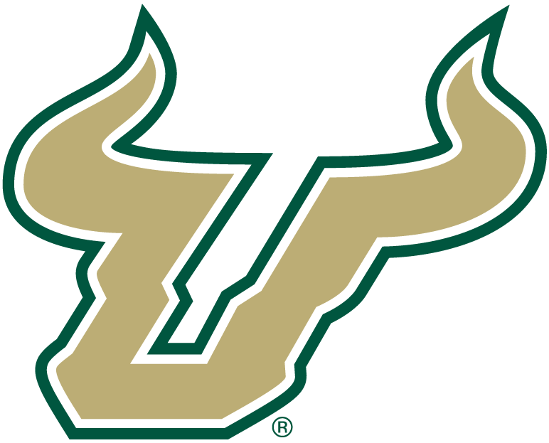 South Florida Bulls 2003-Pres Alternate Logo v2 iron on transfers for fabric